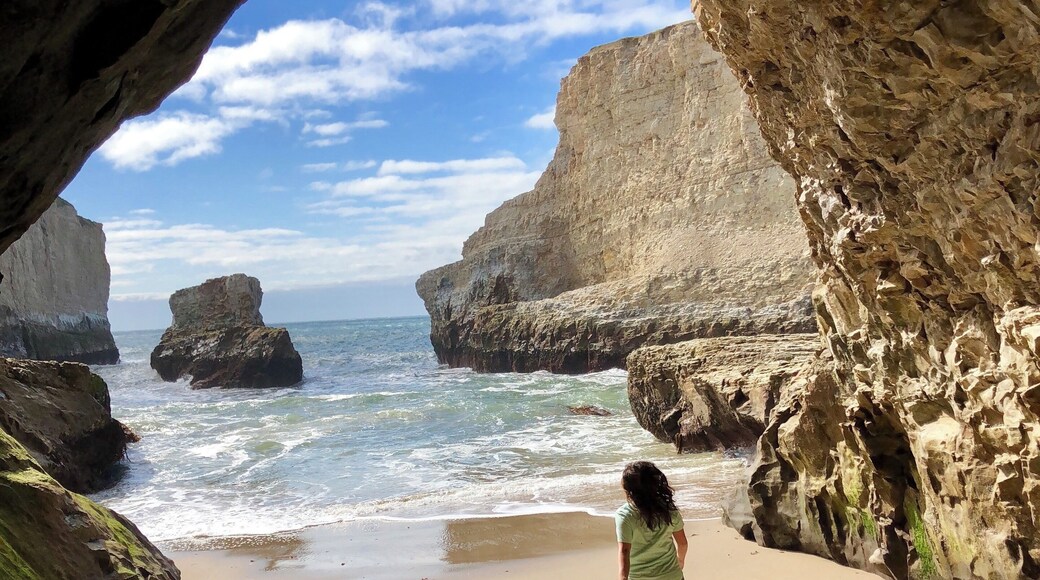 Checking out Shark Fin Cove! This is a nice place for a beach picnic 💧 #adventure