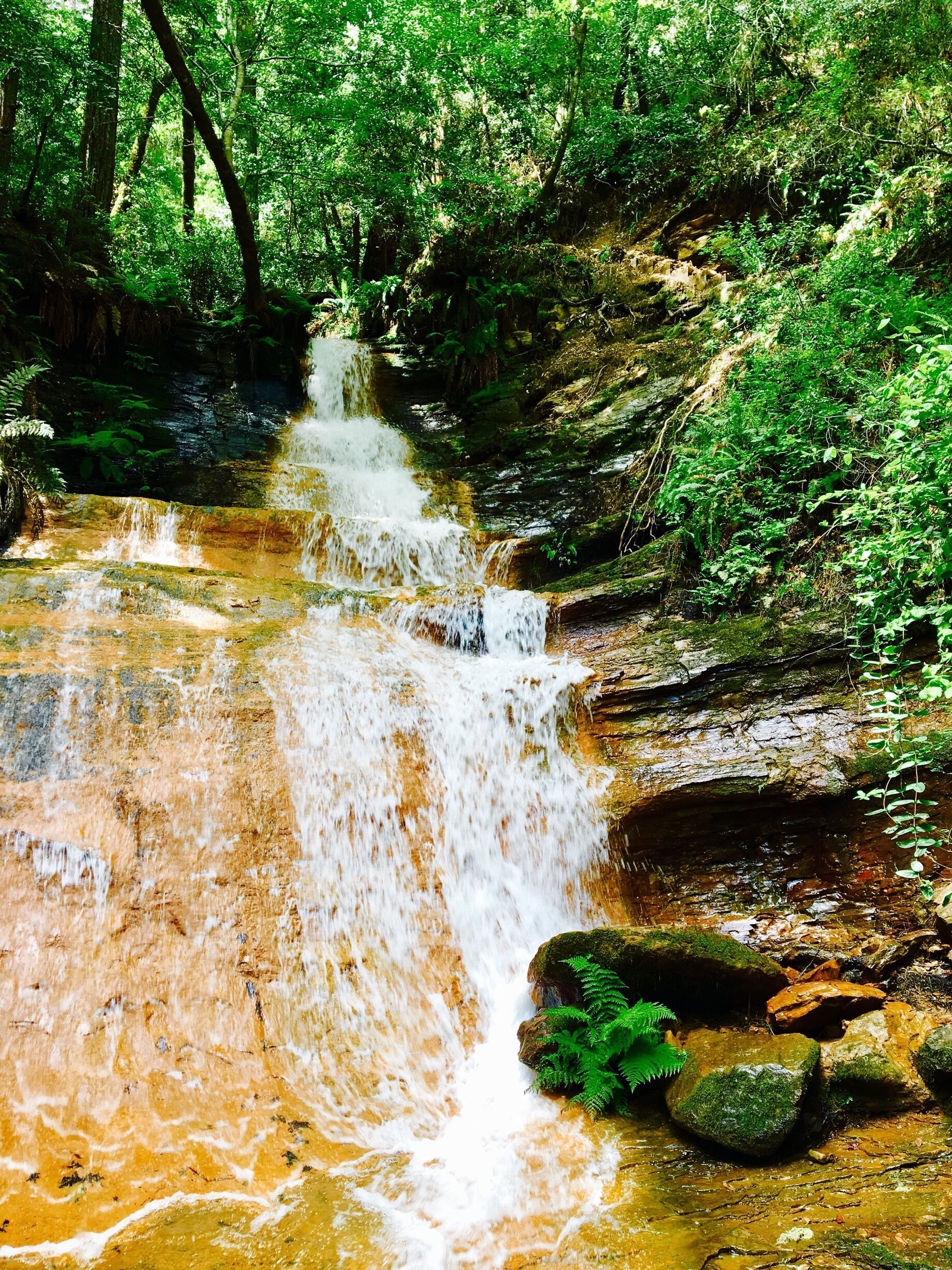 Golden Cascade maybe so named because of the color of the underlying rocks over which the water flowed.
#Green