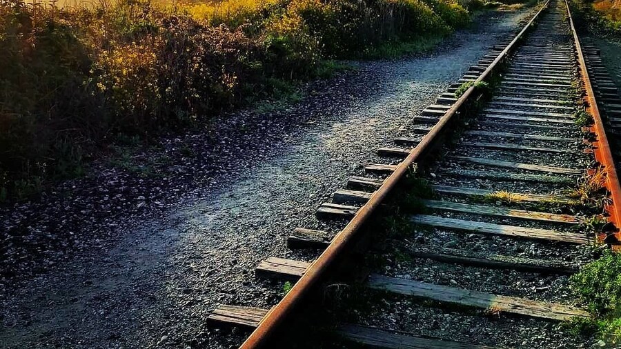 Walk along the old tracks between the beaches near Davenport.