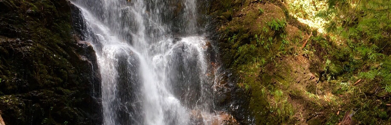Skyline to sea is a beautiful trail we explored today to find this awesome waterfall. The trail has many fallen trees but still accesible to cross over them and enjoy the scenery, flowers, green everywhere. We also found many salamanders and banana sloughs.