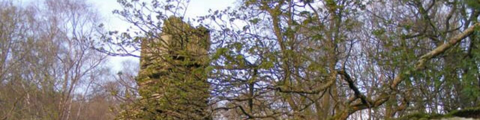 A stone ruin with a chimney, surrounded by trees and grass.