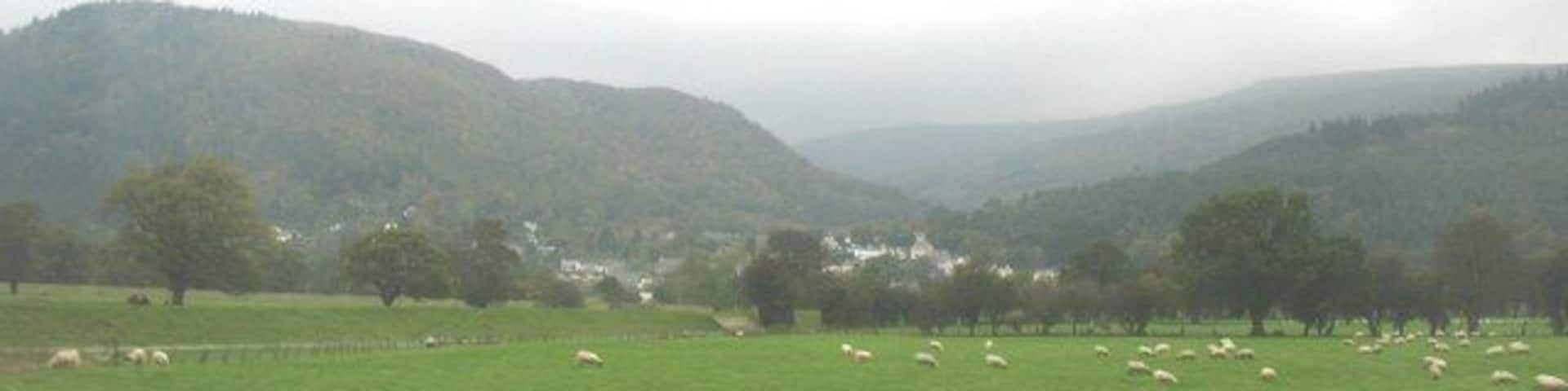 Sheep grazings and flood prevention dyke on the Conwy floodplain east of Trefriw