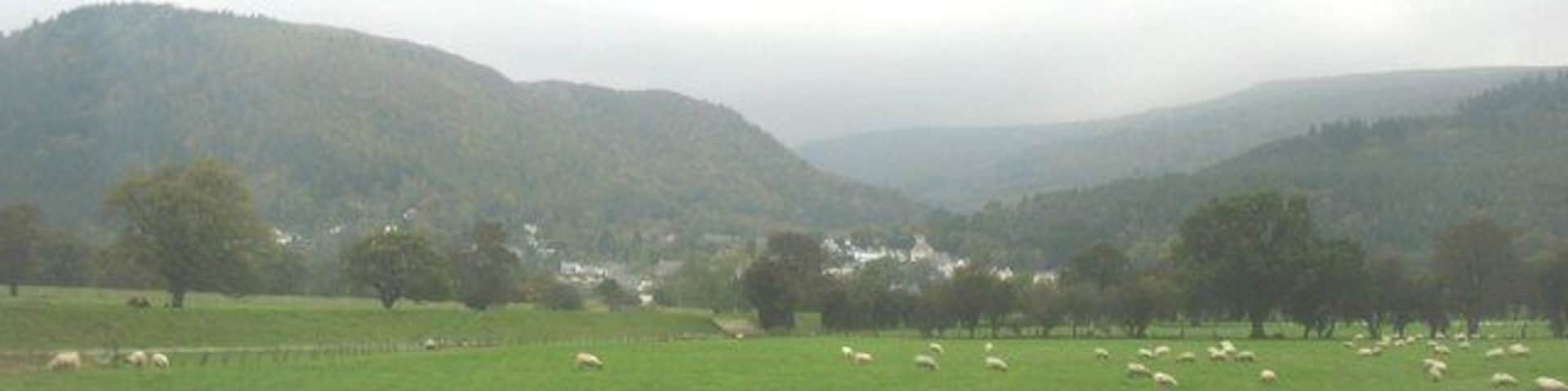 Sheep grazings and flood prevention dyke on the Conwy floodplain east of Trefriw