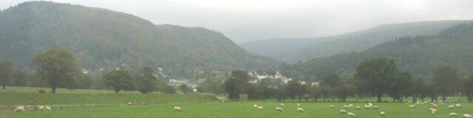 A green field with sheep and a hilly landscape in the background.