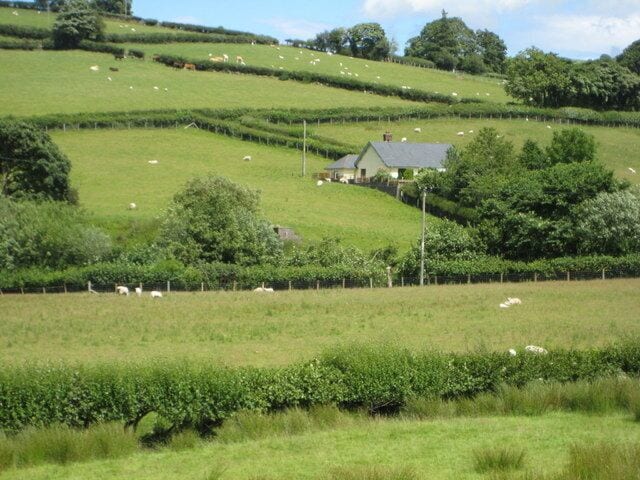 A rural landscape with rolling hills, a house, and grazing sheep.