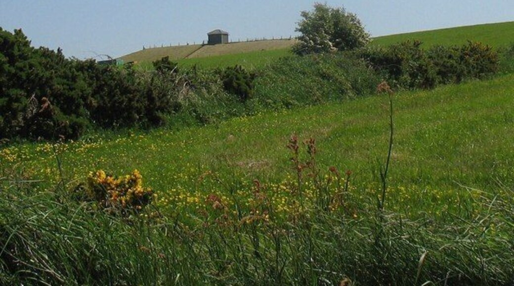 Covered reservoir near Bryn Pabo The reservoir is sited on the summit of a drumlin.