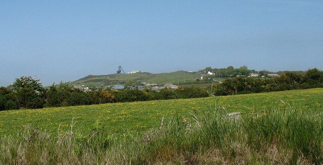 View across a flowery meadow towards Mynydd Parys mountain