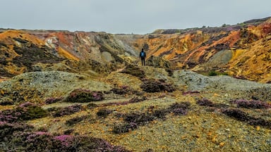 An abandoned copper mine in north Wales. The colours are amazing! Free to walk around with path ways. Best to view in both sunny and rainy conditions. It was once the largest copper mine in the world during the 18th century. Photos don't come close to showing how big this place is! #Nature