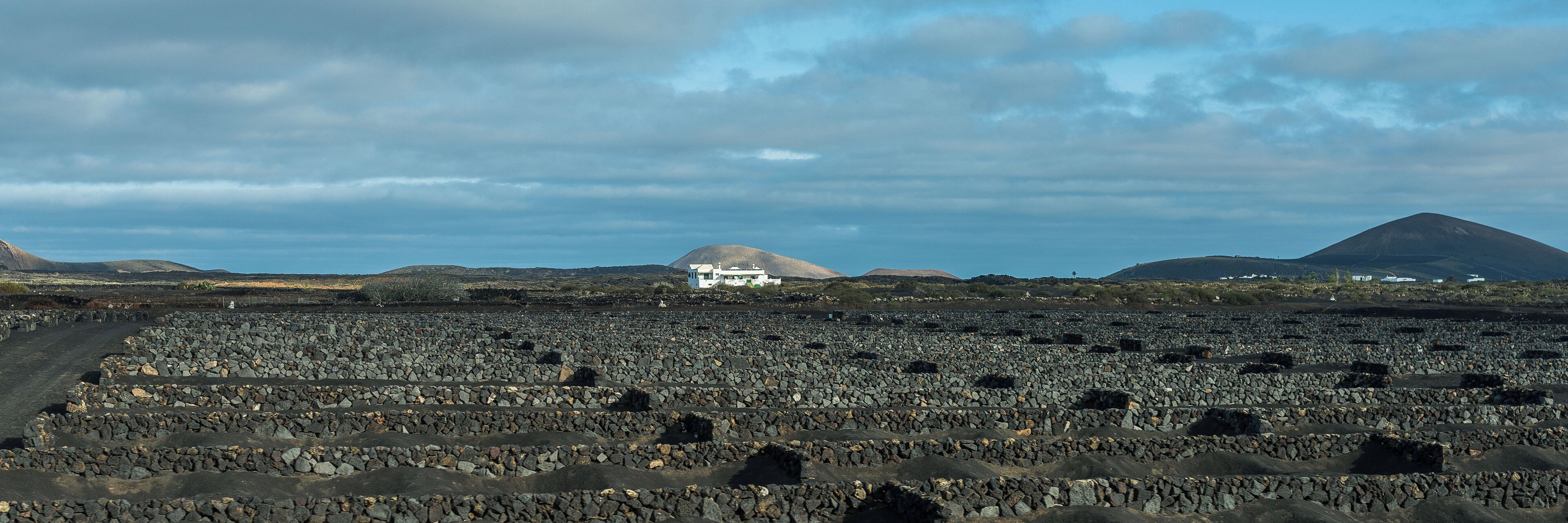 Lanzarote February 2016-6649