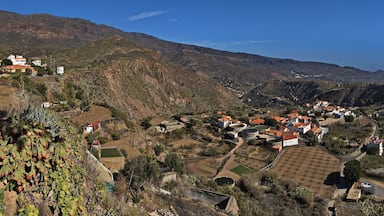 산 바르톨로메