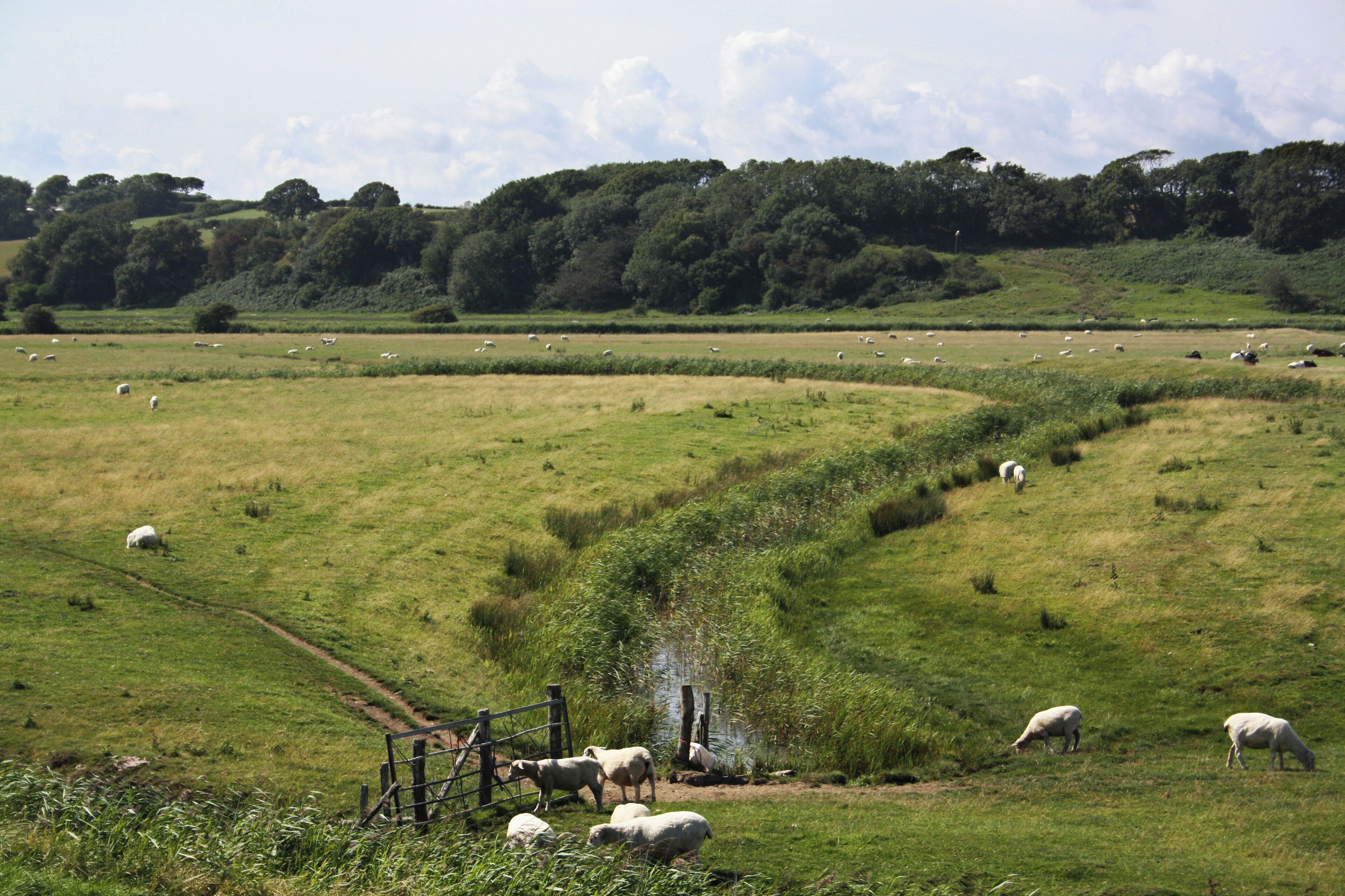 Coast path, Pett Level Road, Near Rye