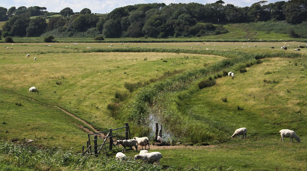Coast path, Pett Level Road, Near Rye