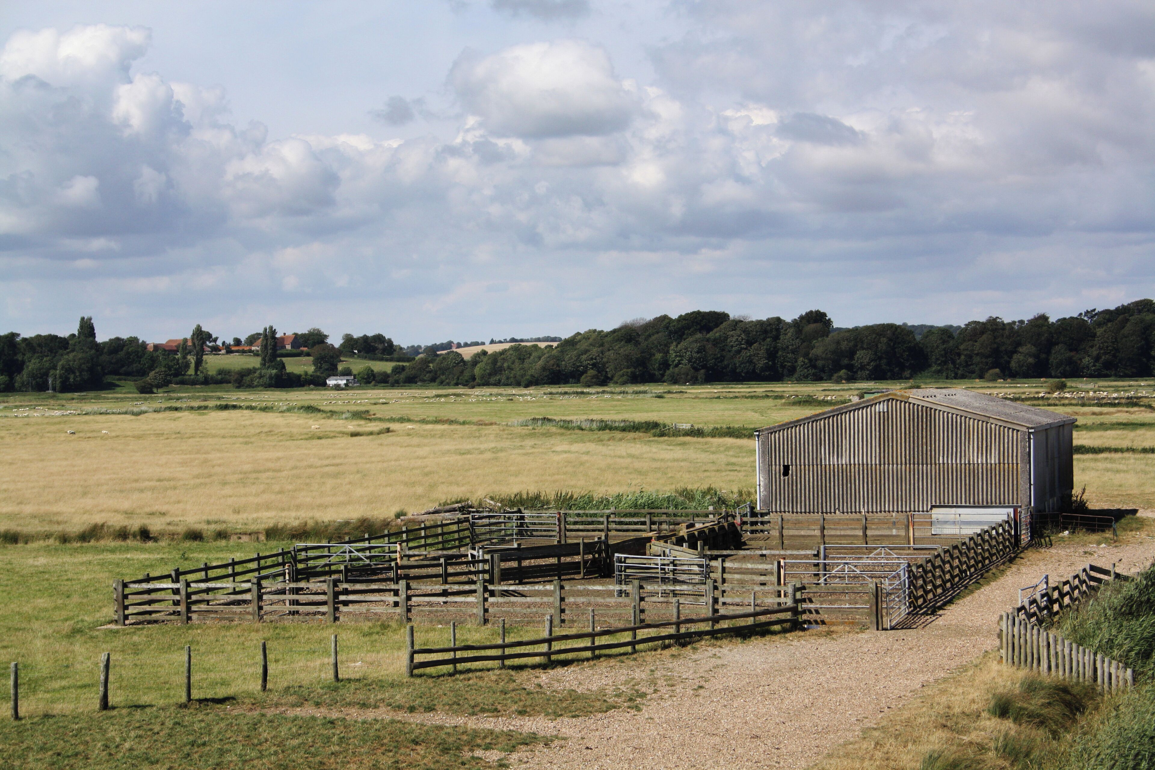 A rural landscape with a large metal barn, fenced paddock, and rolling fields under a cloudy sky.