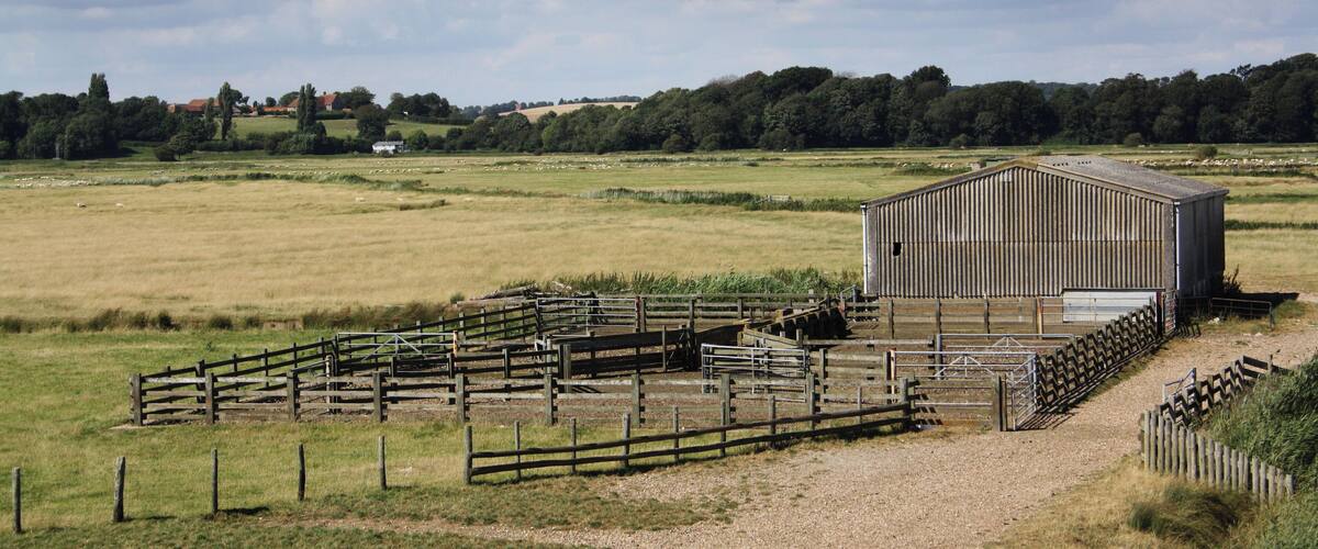 A rural landscape with a large metal barn, fenced paddock, and rolling fields under a cloudy sky.