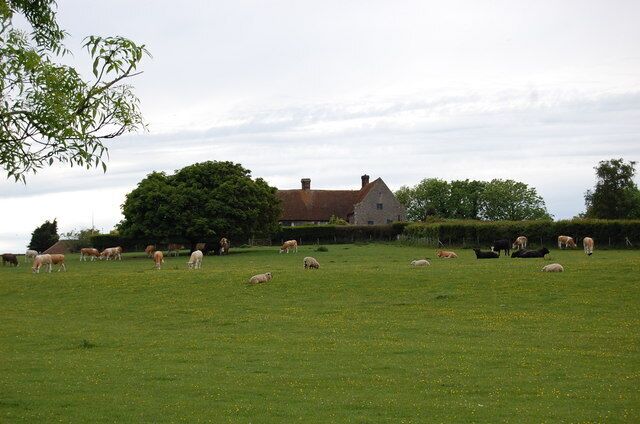 A green field with sheep and a house in the background.