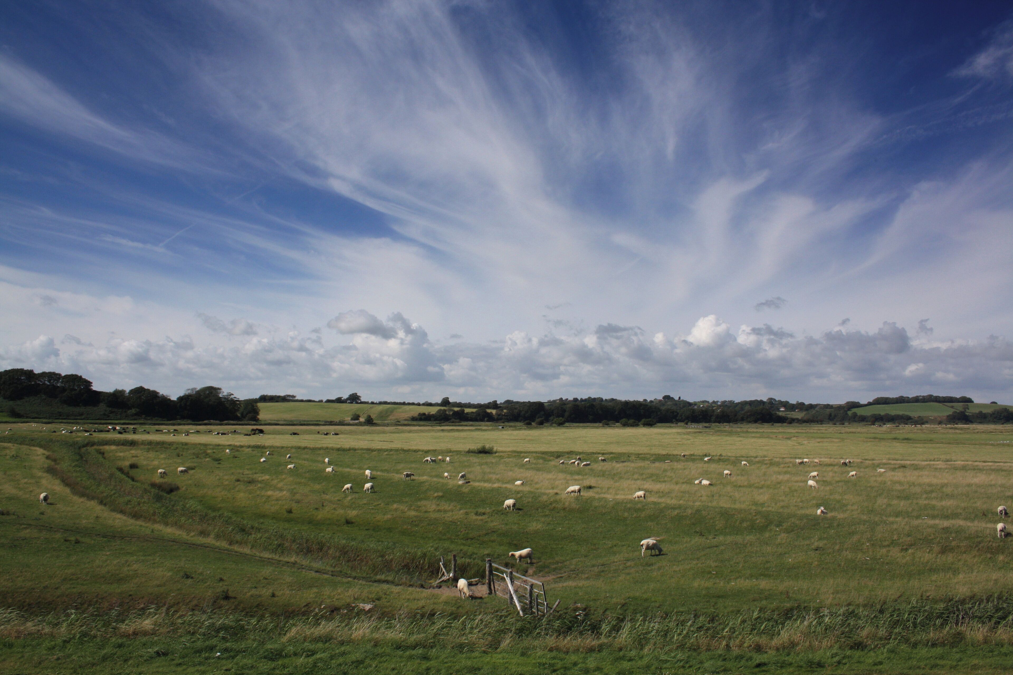 Coast path, Pett Level Road, Near Rye