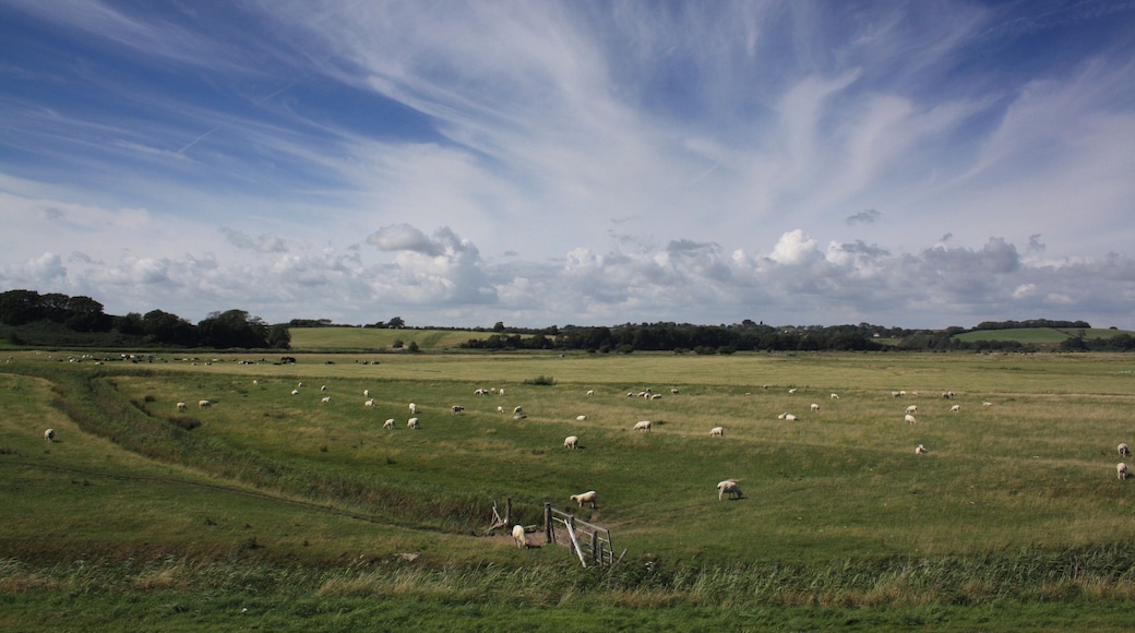 Coast path, Pett Level Road, Near Rye