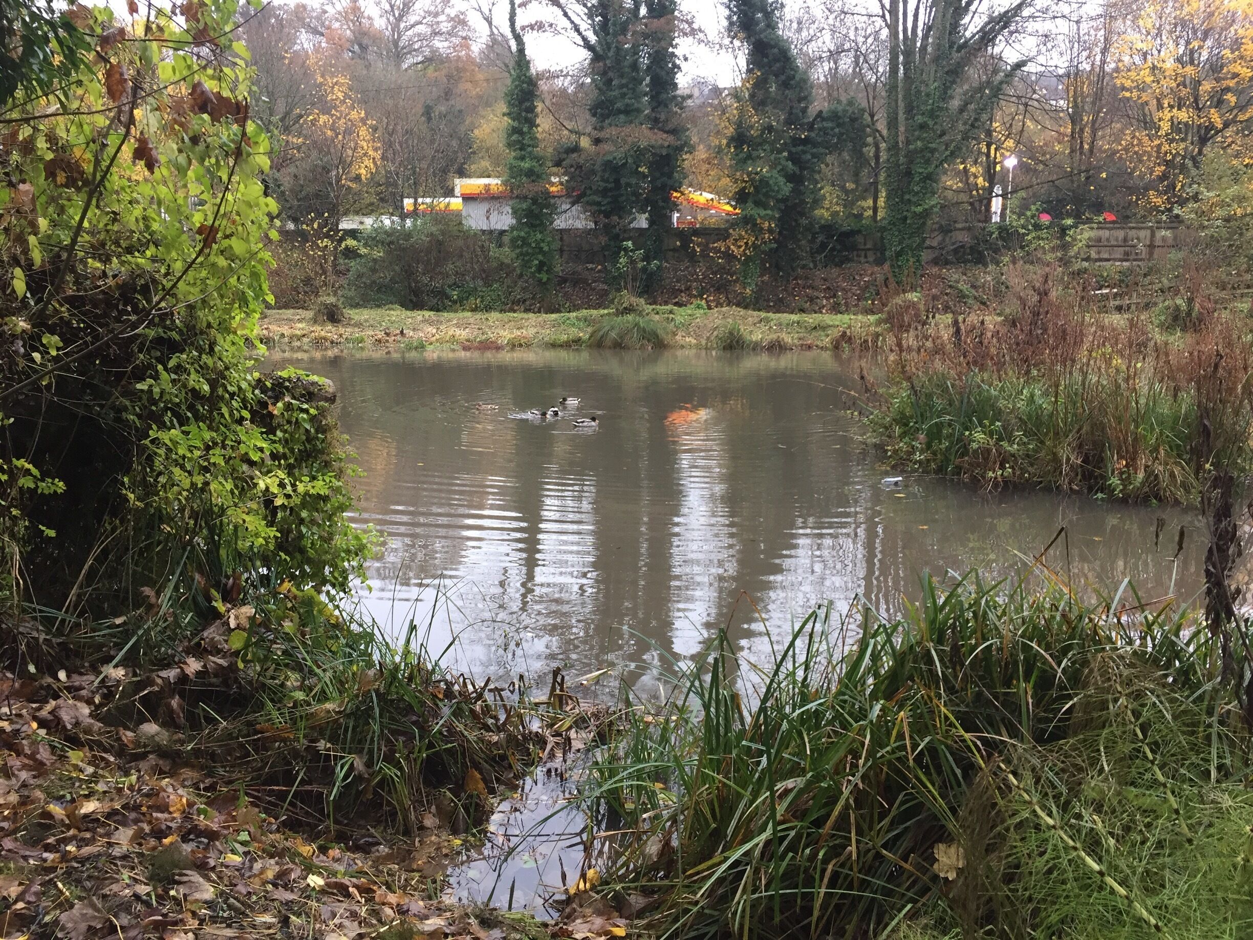 Another shot, showing the Shell garage on the A46. 