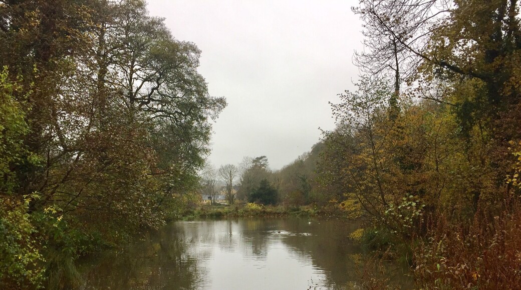 Just behind the Shell Garage on the A46. A hidden gem for the wildlife.