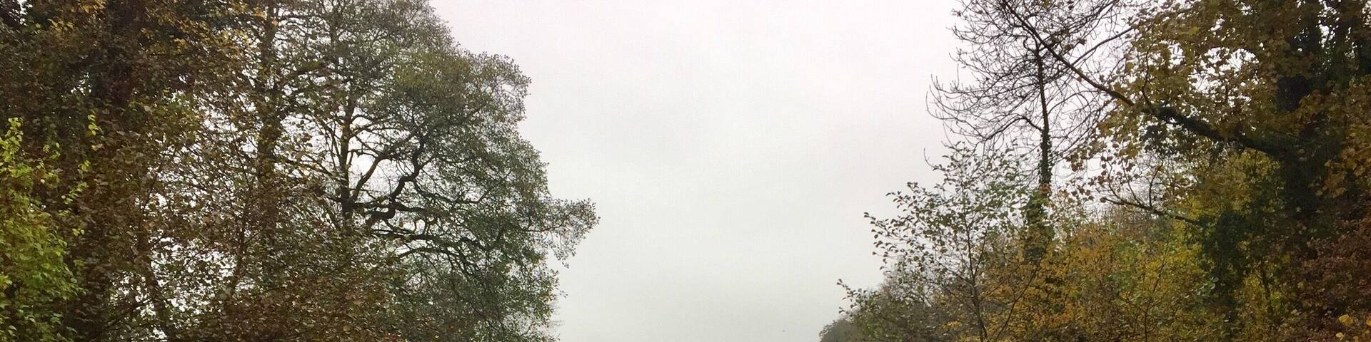 Just behind the Shell Garage on the A46. A hidden gem for the wildlife.