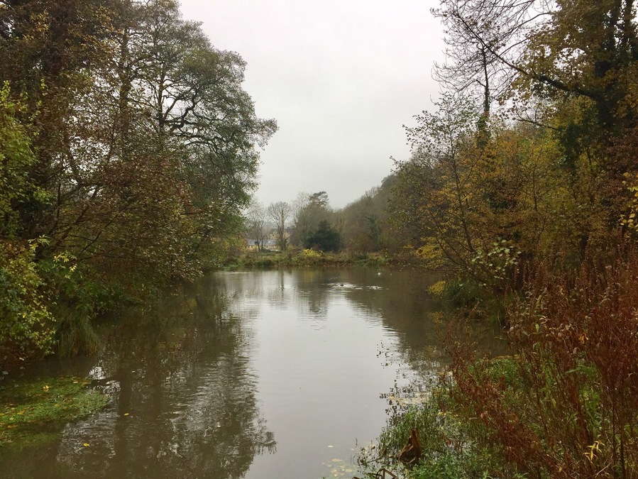 Just behind the Shell Garage on the A46. A hidden gem for the wildlife.