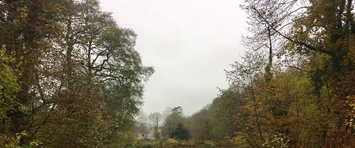 A calm river surrounded by dense trees and a cloudy sky.