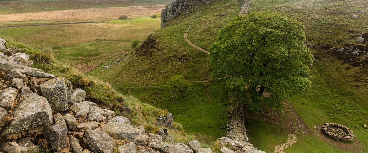 A stone wall on a grassy hill with a tree in the foreground.