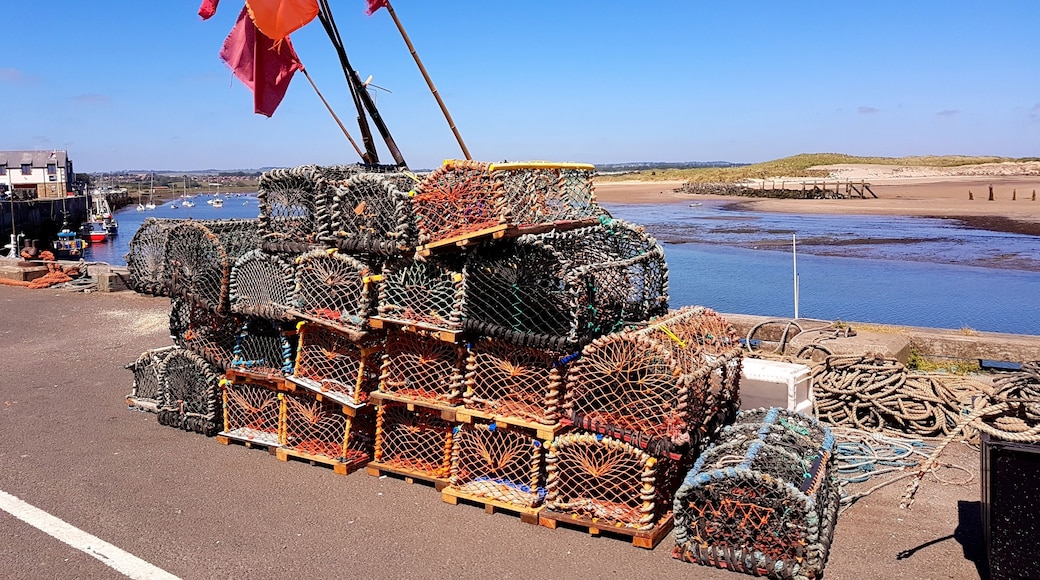 Fisherman's lobster pots on Ambled harbour waiting to be loaded