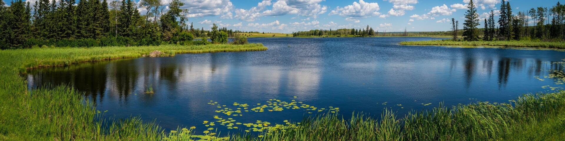 Tranquil landscape and dramatic cloudscape with fur trees, water lily, and plants in Sand Lake near Riding Mountain National Park on John Bracken Hwy in Onanole, Manitoba, Canada