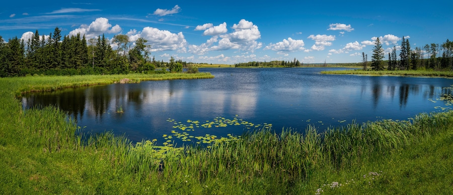 Tranquil landscape and dramatic cloudscape with fur trees, water lily, and plants in Sand Lake near Riding Mountain National Park on John Bracken Hwy in Onanole, Manitoba, Canada