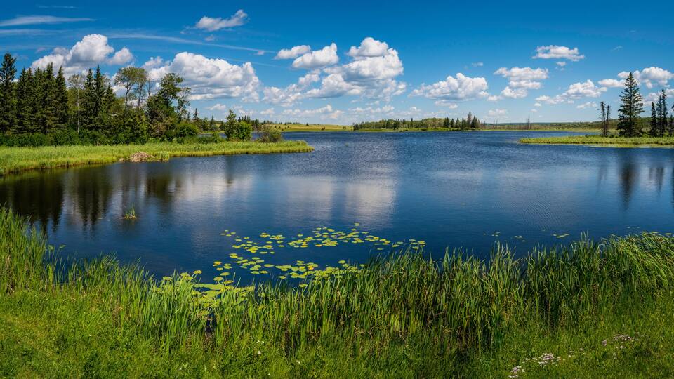 A calm lake surrounded by lush greenery and trees under a clear blue sky.