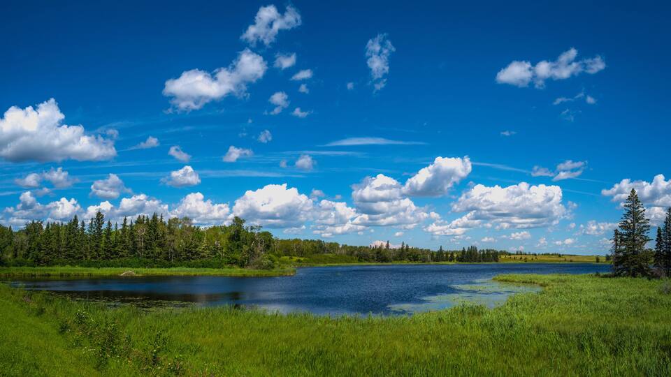 A lake surrounded by lush green grass and trees under a blue sky with scattered clouds.