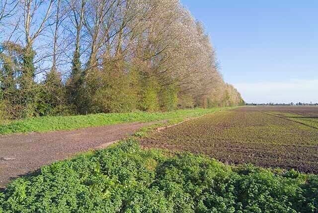 Line of former railway, Holbeach, looking east from Dam Gate.