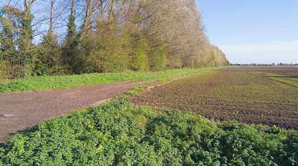 Line of former railway, Holbeach, looking east from Dam Gate.