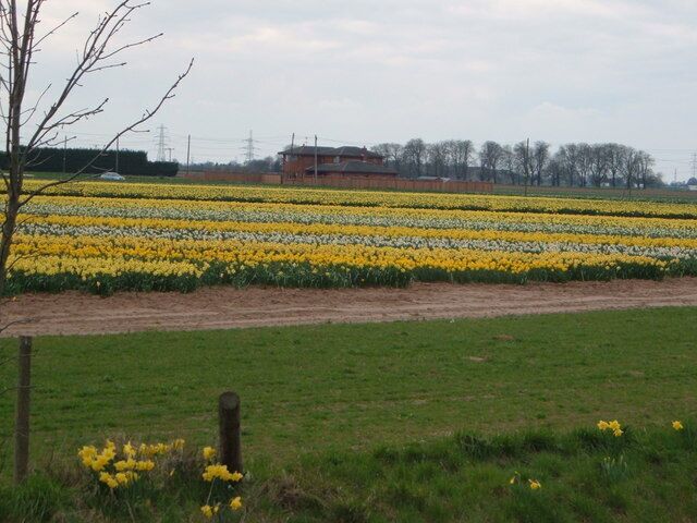 Farming in spring! Beside the A17 near Holbeach.