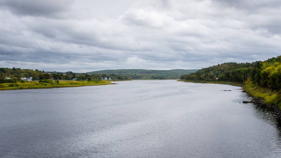 A river flowing through a hilly landscape with dense forests on both sides.