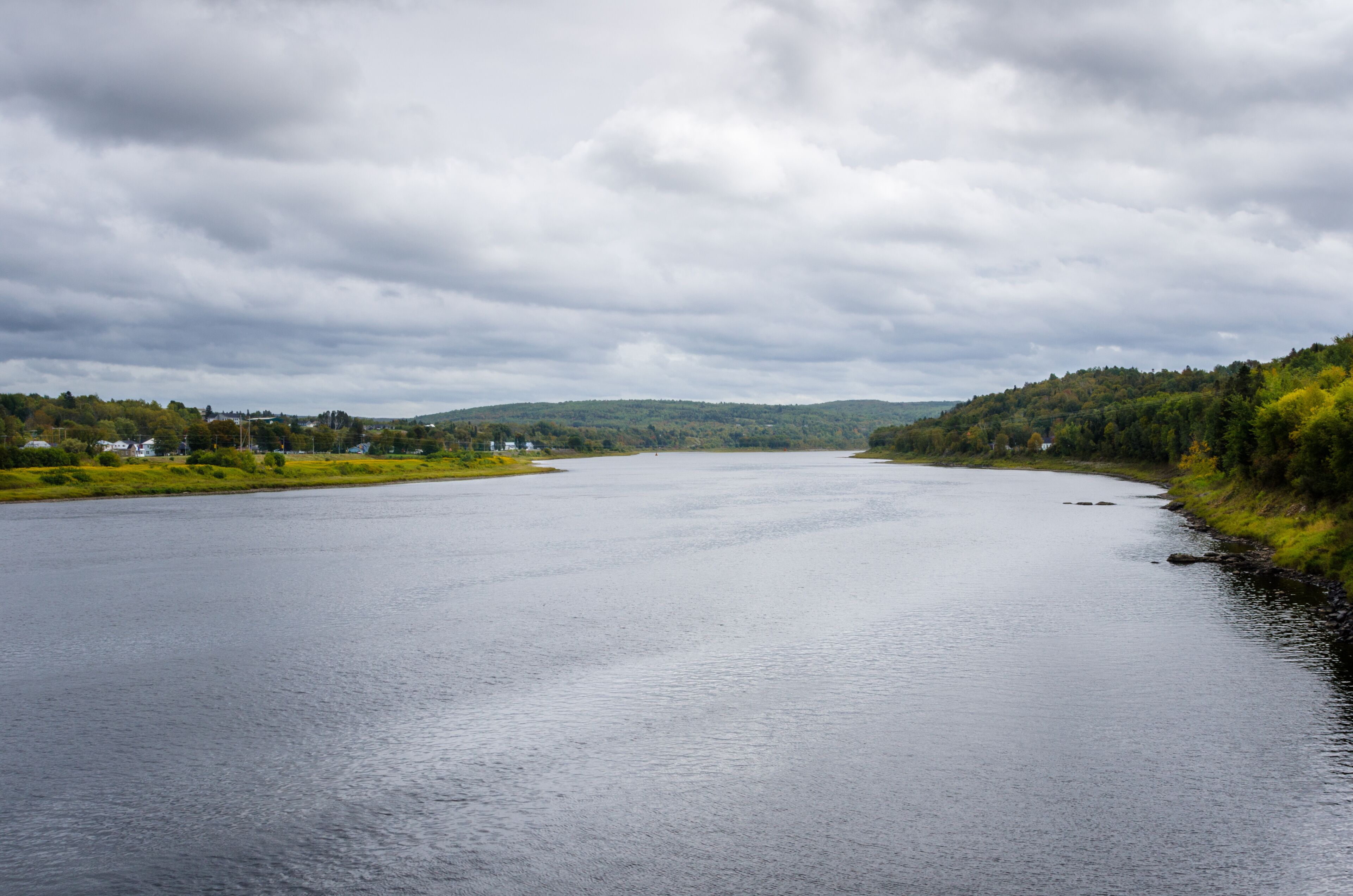 A river flowing through a hilly landscape with dense forests on both sides.