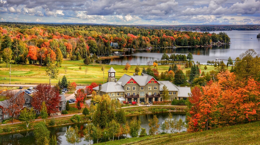 Calabogie
