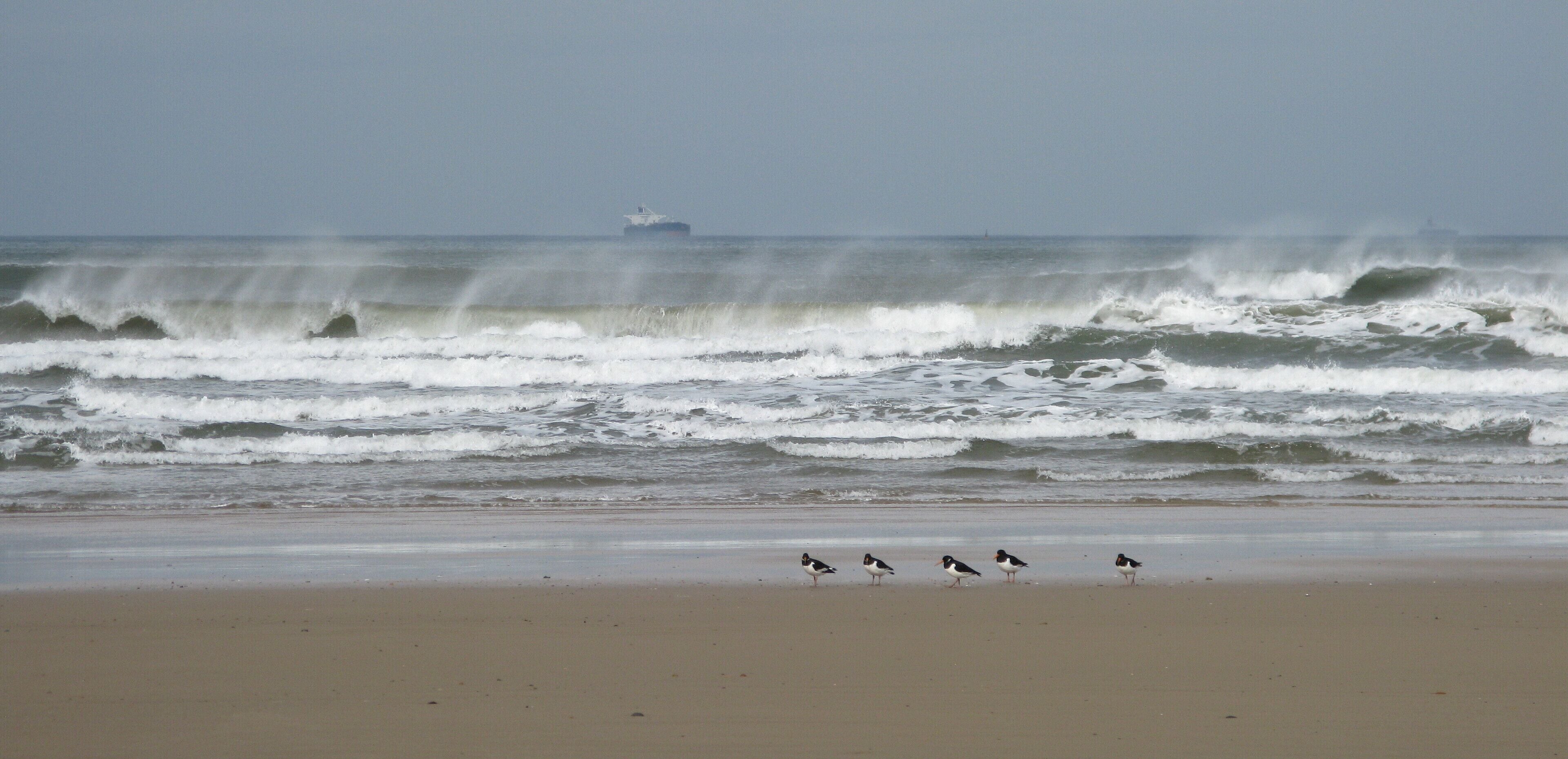 Saltburn Surf