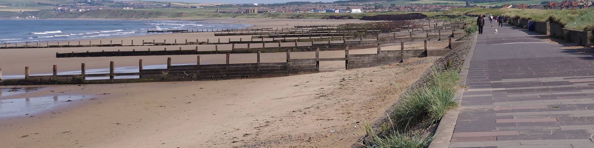 A coastal walkway with a wooden fence, beach, and distant buildings.