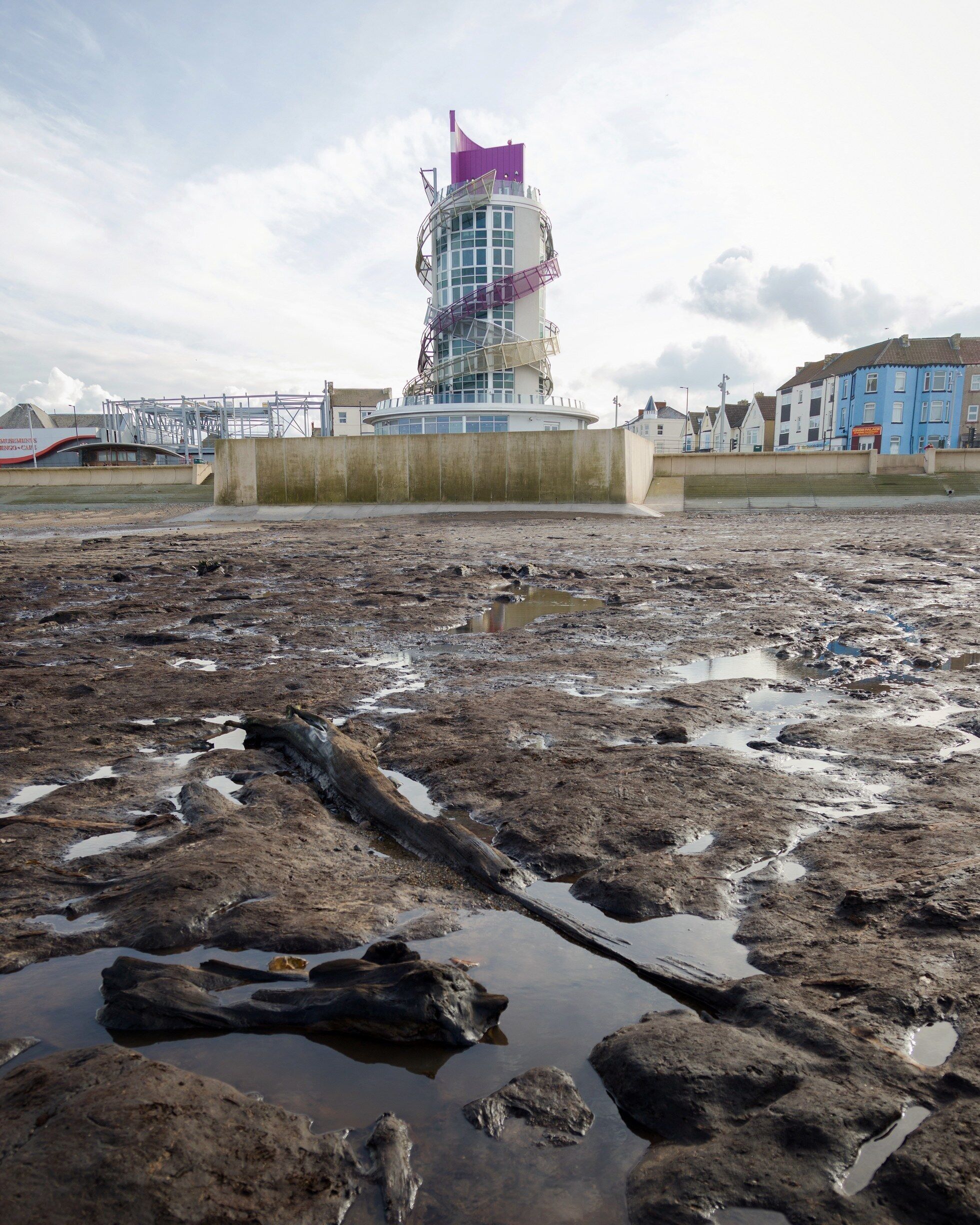The Petrified Forest at Redcar. 

A 7000 year old forest has been uncovered from the sand by the recent Beast from the East. This land used to link mainland UK to the rest of Europe until the sea level rose and washed it all away. 
