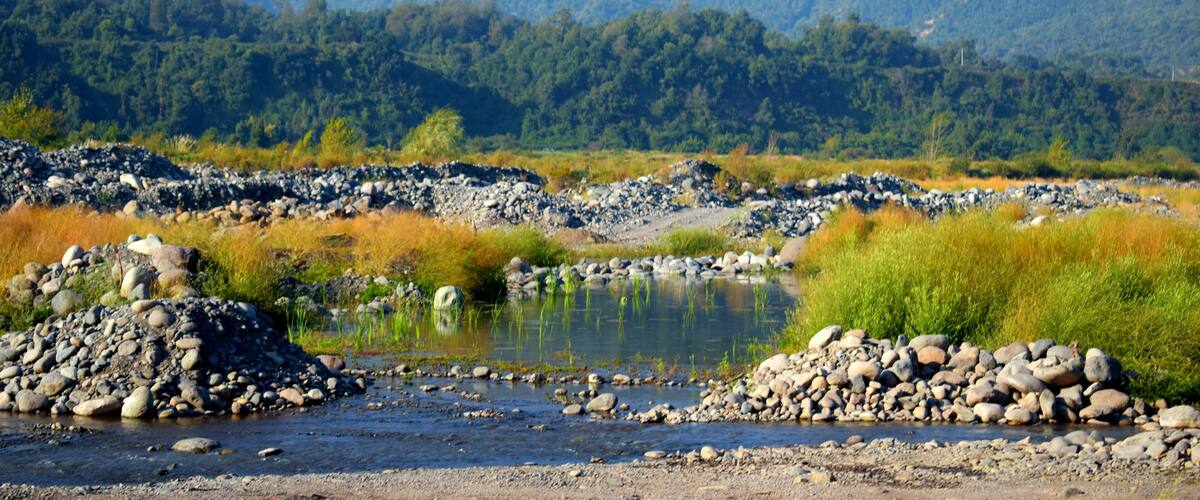 A river with rocky banks and a forested mountain range in the background.