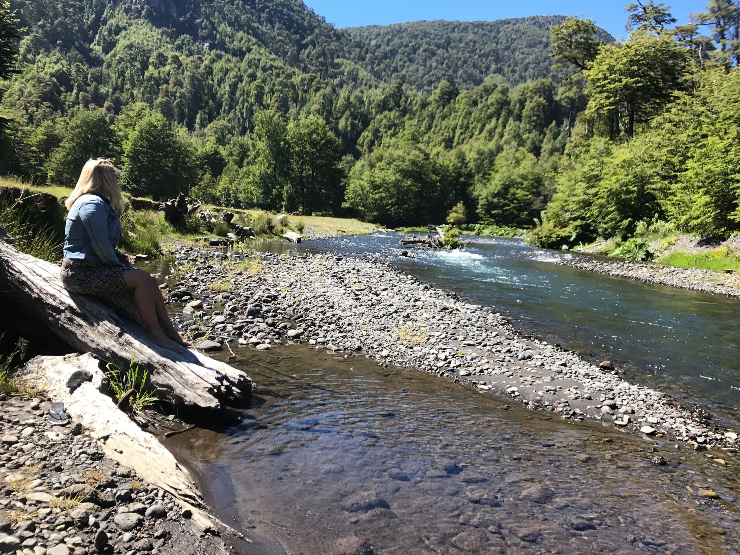 Had to stop and take in this site. The amount of beauty and nature in southern Chile. We were on our way to some Hot Springs. 