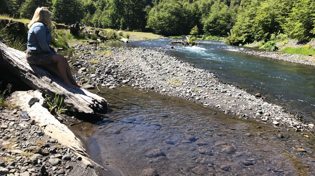 Had to stop and take in this site. The amount of beauty and nature in southern Chile. We were on our way to some Hot Springs.