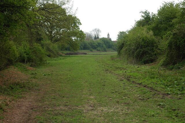 A grassy field with trees and bushes on both sides.