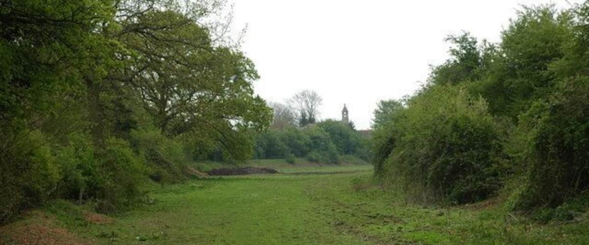 A grassy field with trees and bushes on both sides.