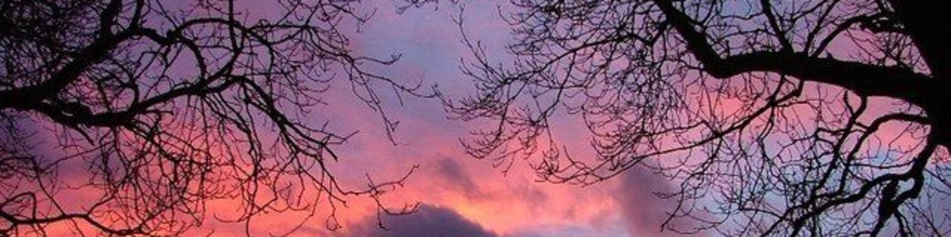 Roseberry, Before Dawn View from the lay-by near Newton.