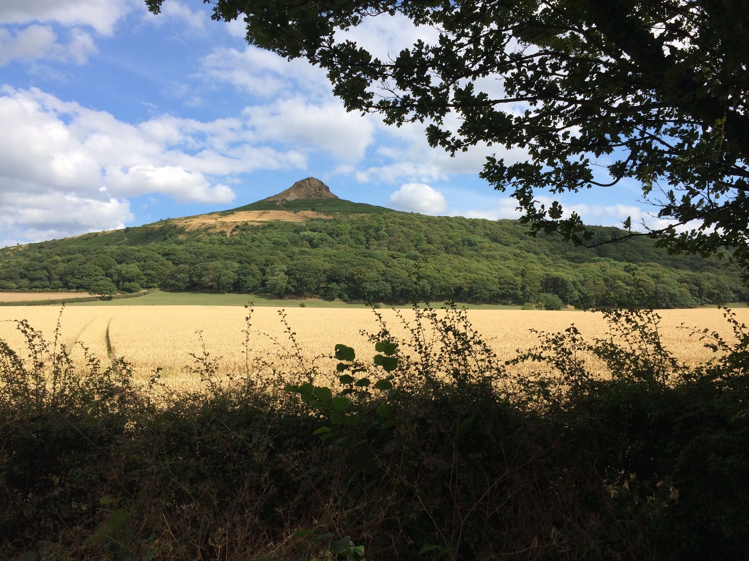 Roseberry Topping is a distinctive peak in Yorkshire.  From the car park ( good pub close by) you get a chance to see the peak across the fields