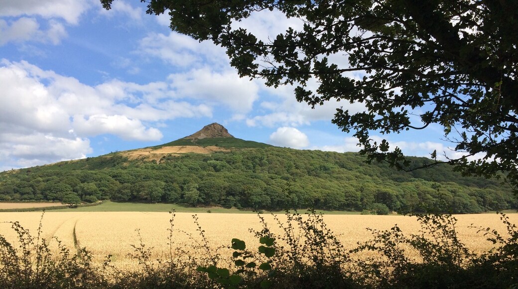 Roseberry Topping is a distinctive peak in Yorkshire. From the car park ( good pub close by) you get a chance to see the peak across the fields