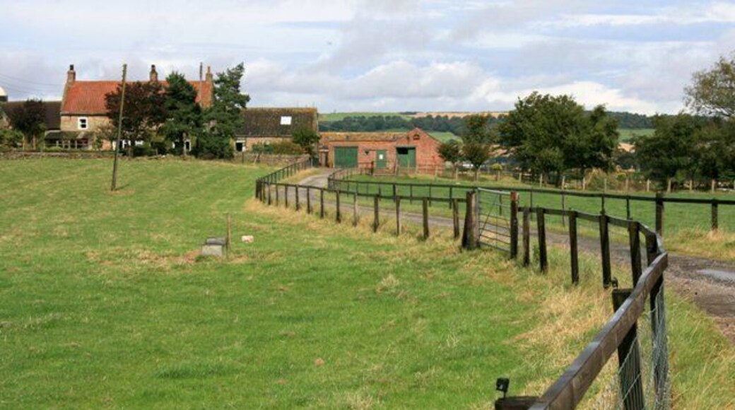 Snow Hall Farm A Public Footpath continues along the farm road.
